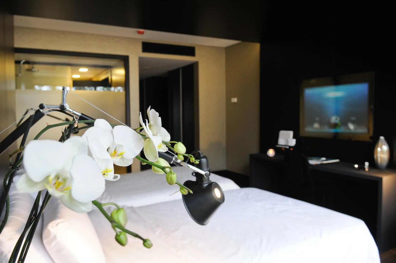Evidencia Belverde Hotel