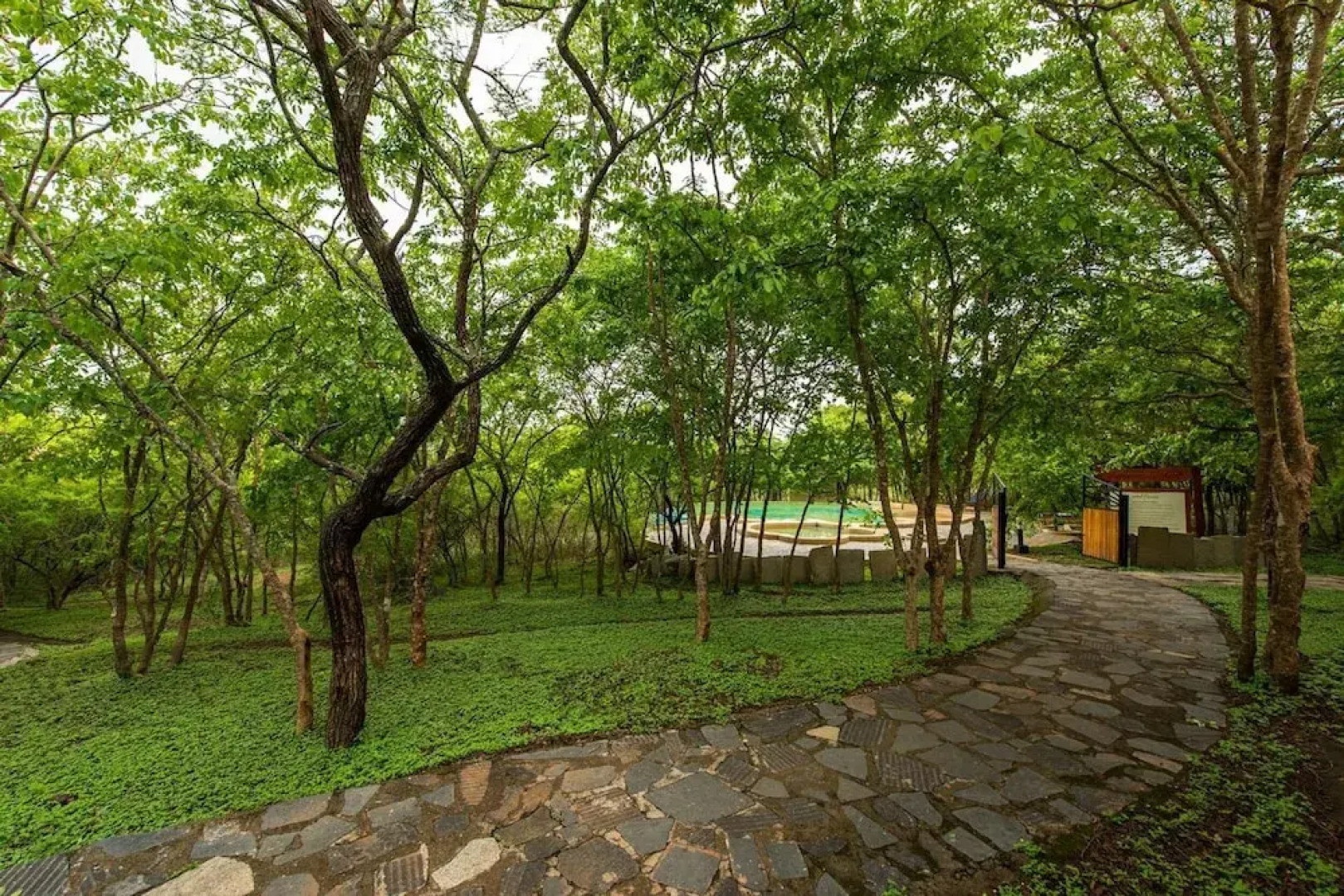 The Windflower Jungle Resorts and Spa