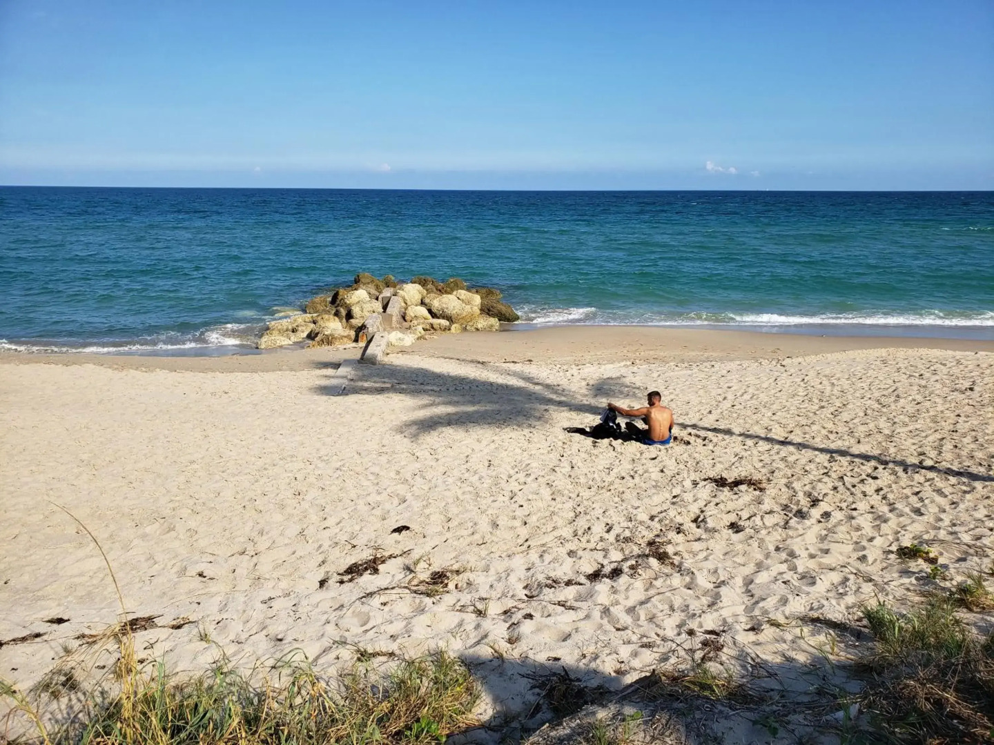 Designer Decorated Palm Beach Hotel NEW