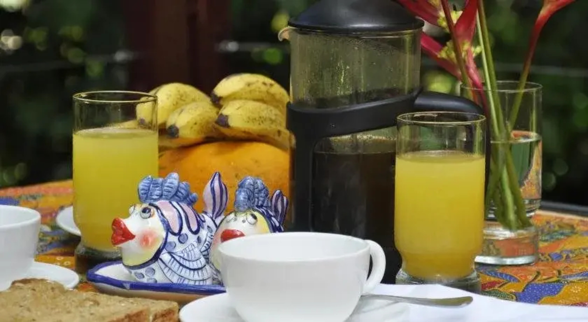 Tropical Bliss Bed and Breakfast