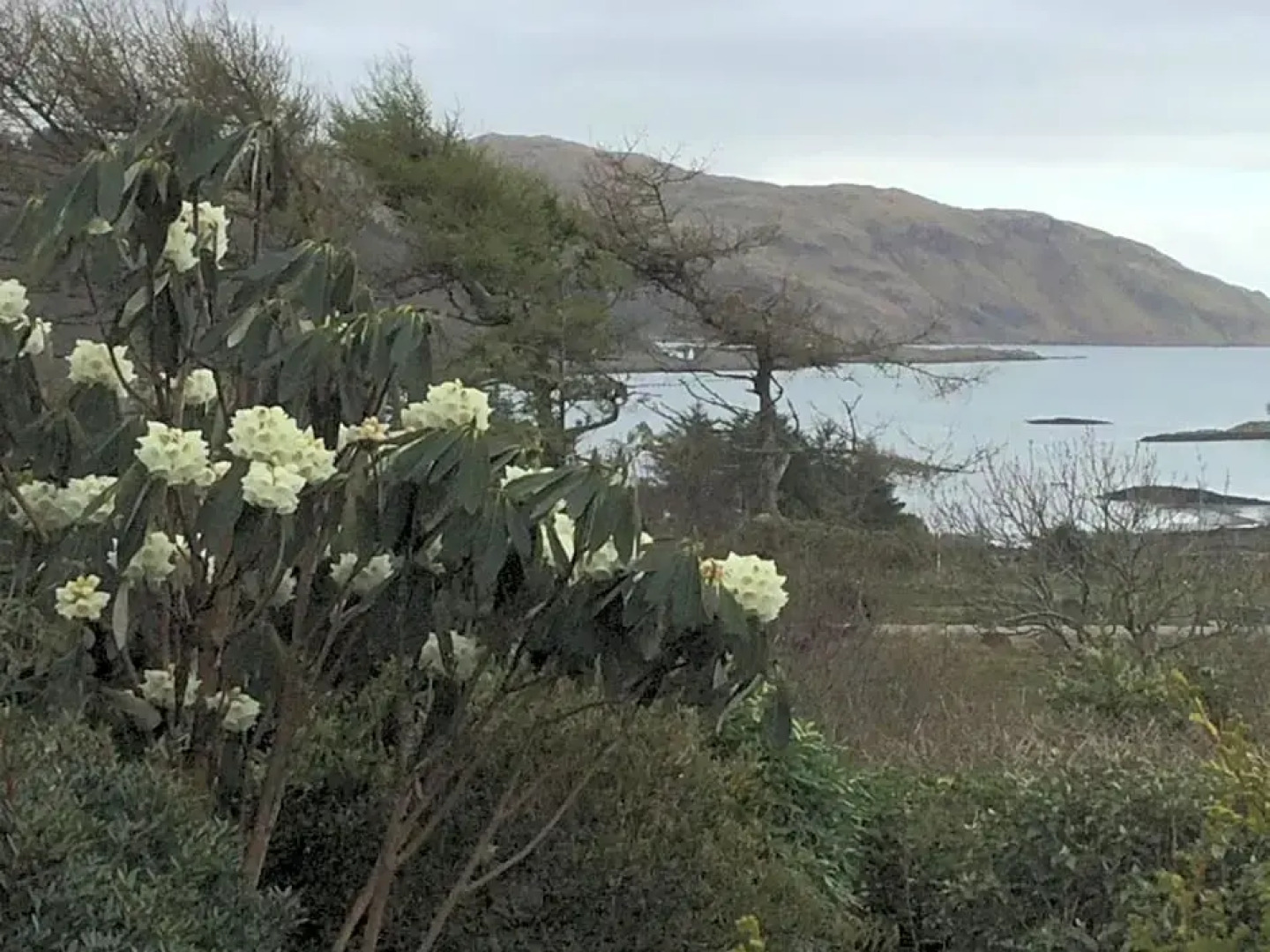 Oban Seil Farm Bed and Breakfast