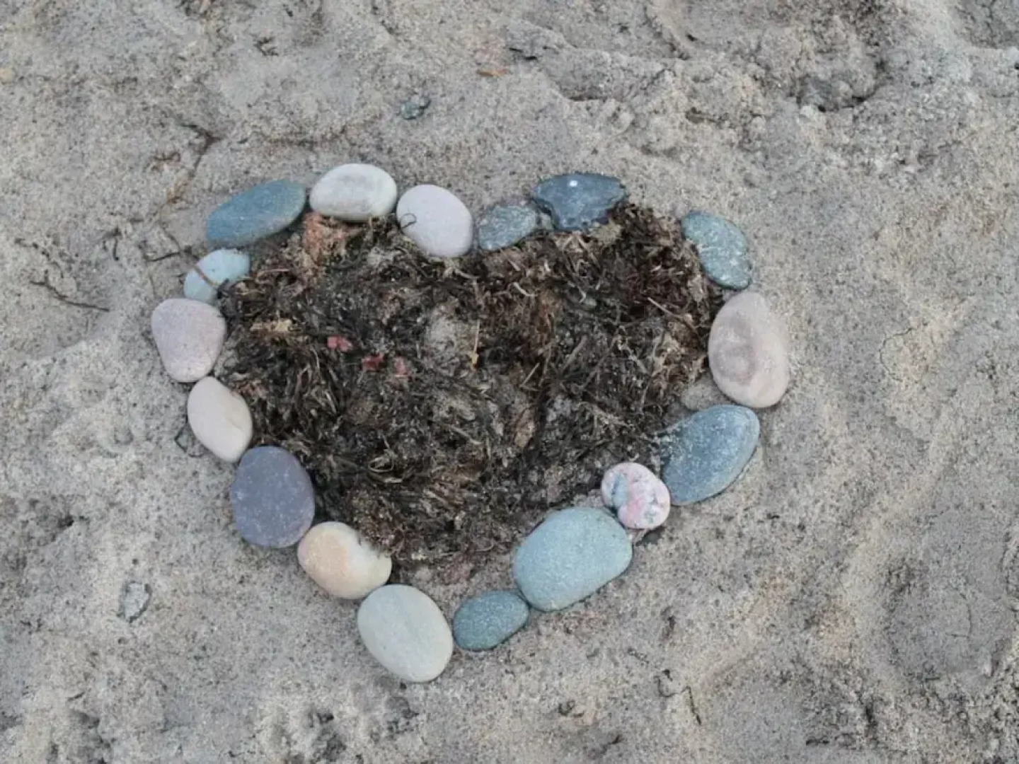 Seagull - Family Holiday Home near Beach - Pets Welcome