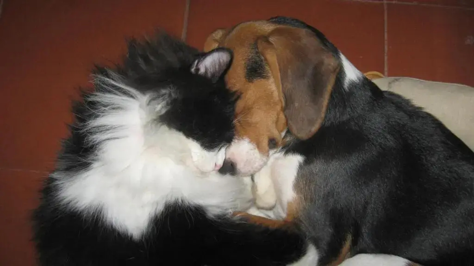 la bottega del fabbro affitto breve