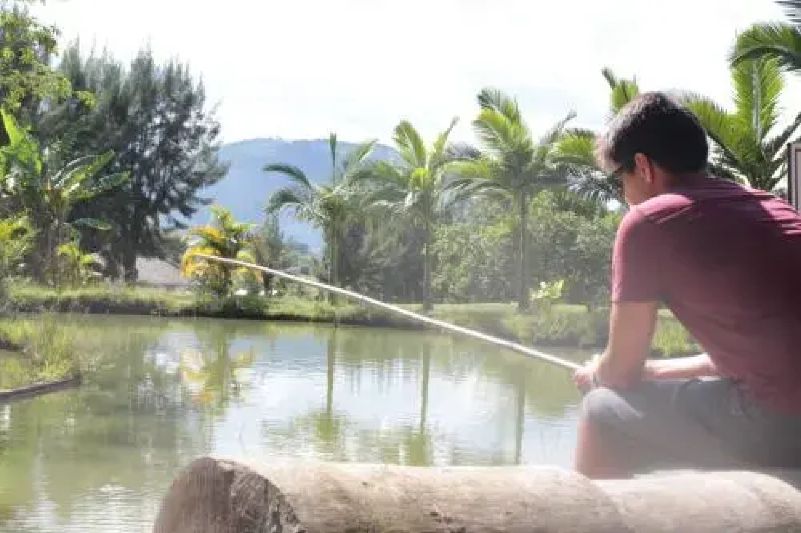 Hotel Termas da Guarda