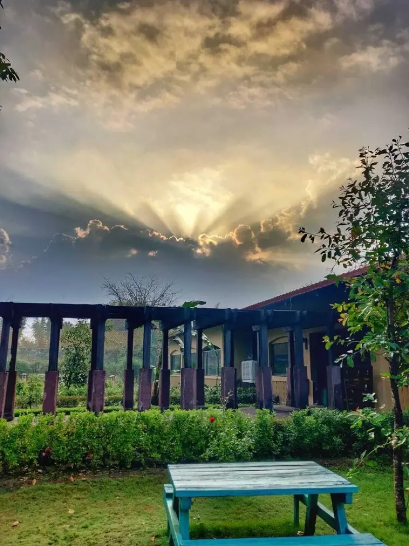 The Celebration Van Vilas