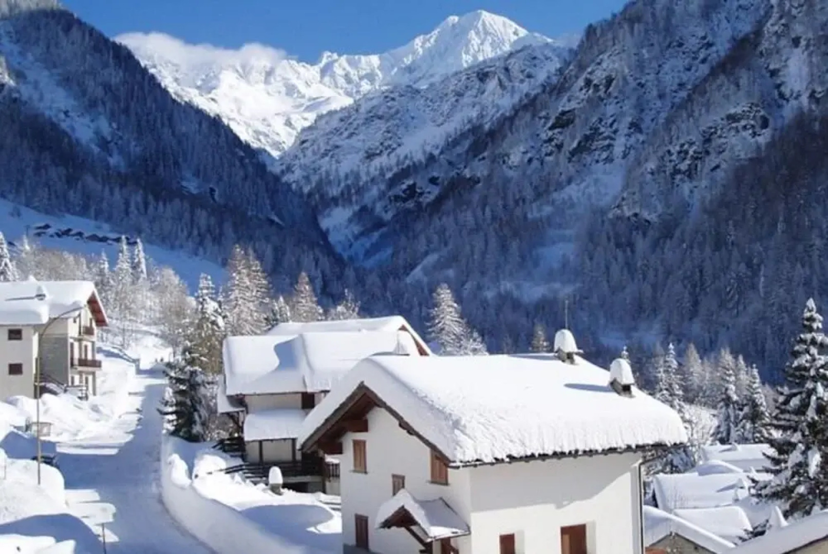 Residence Larice Bianco