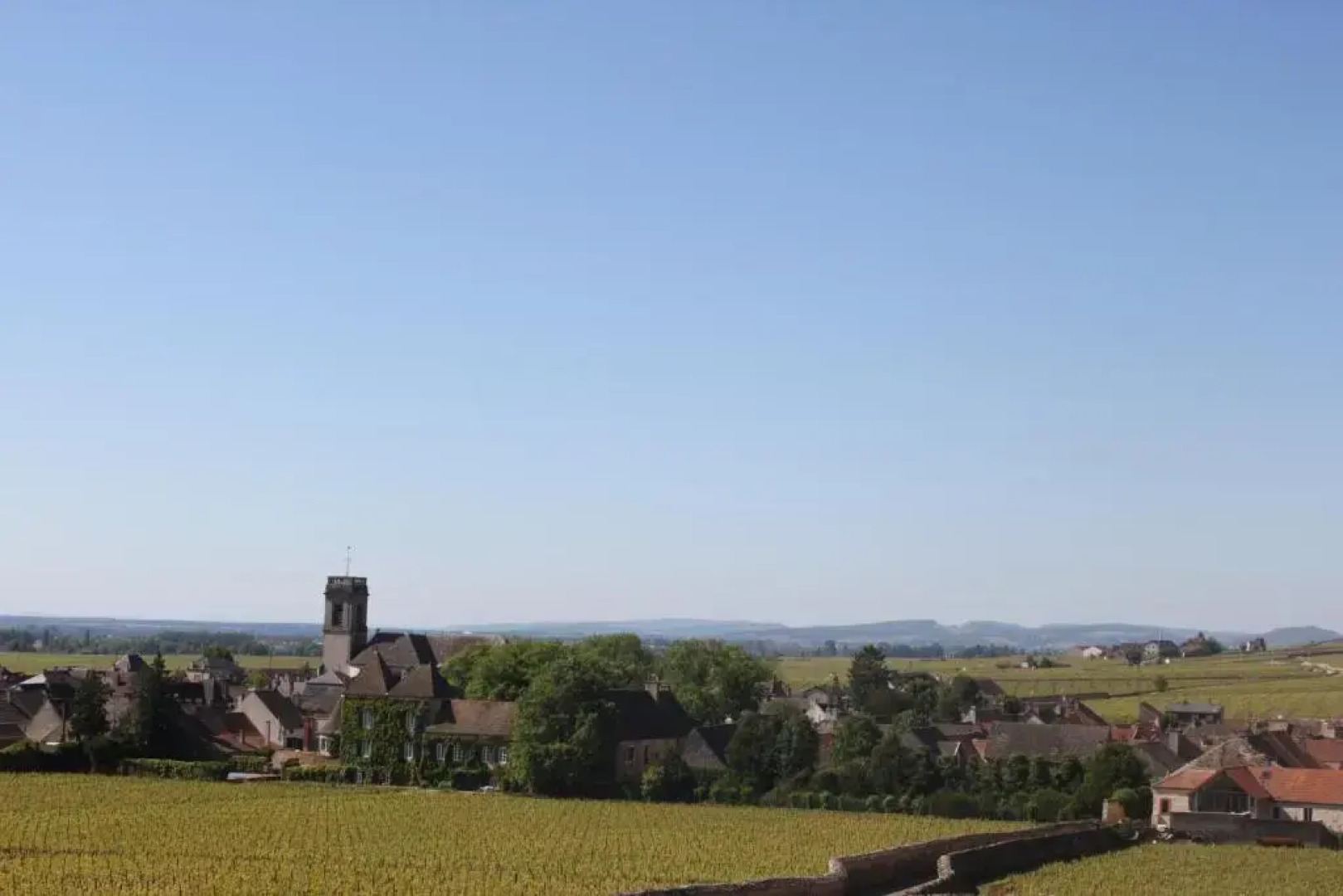 Ces Jours À Pommard