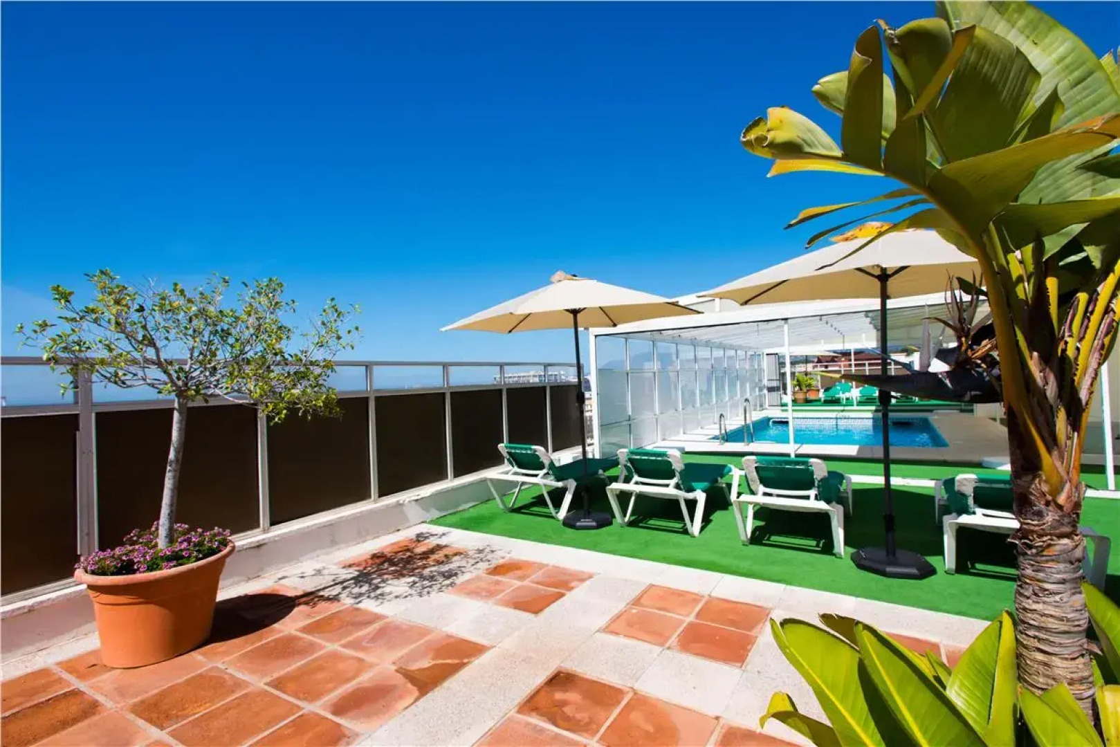 Hotel Monarque El Rodeo