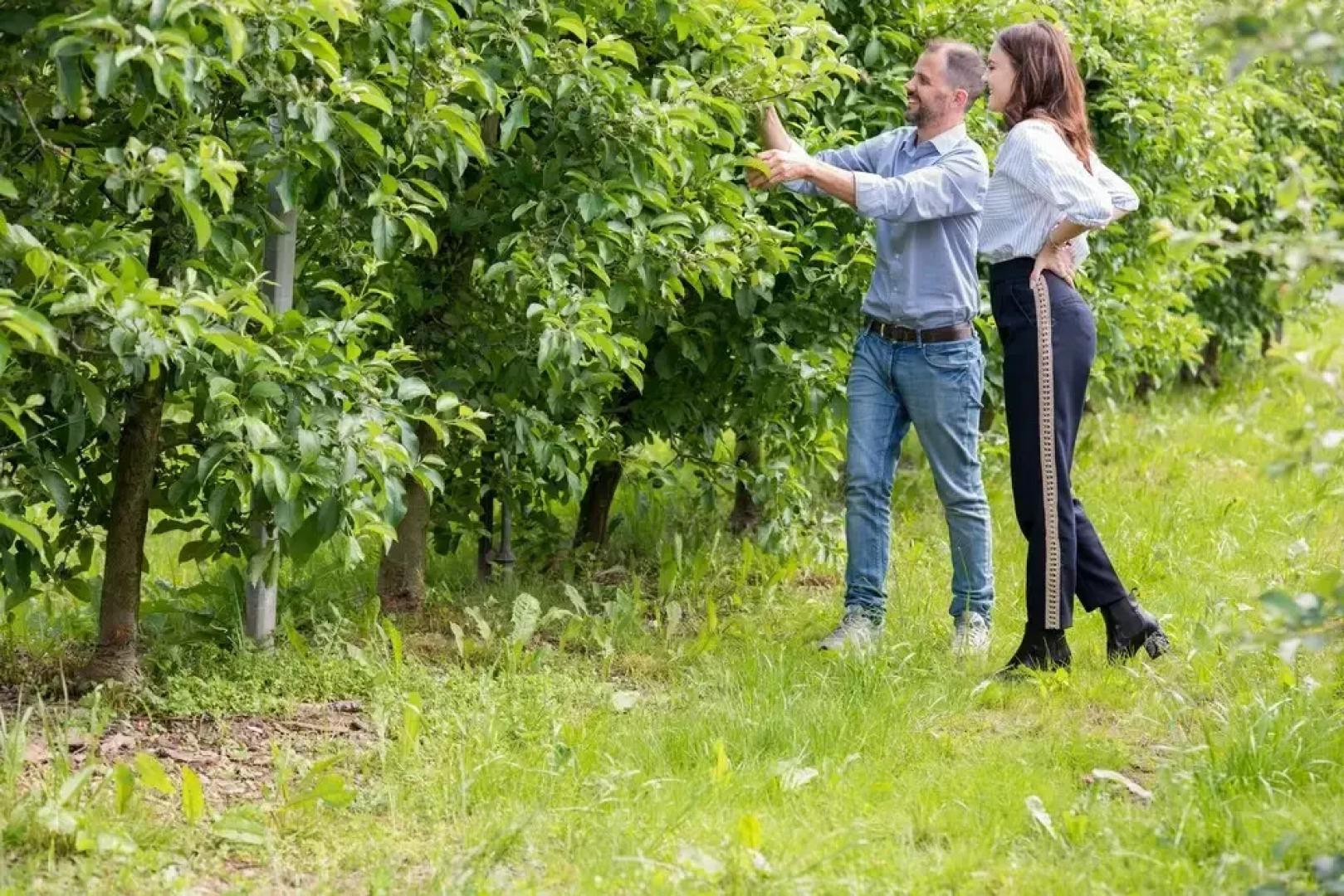 Arbulé Agriturismo & Spa Valtellina