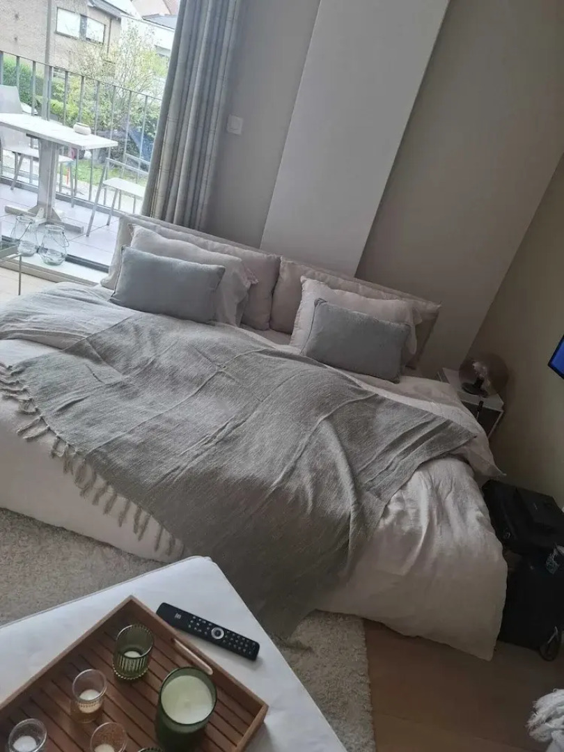 La Petite For t Contemporary Apartment in Halle