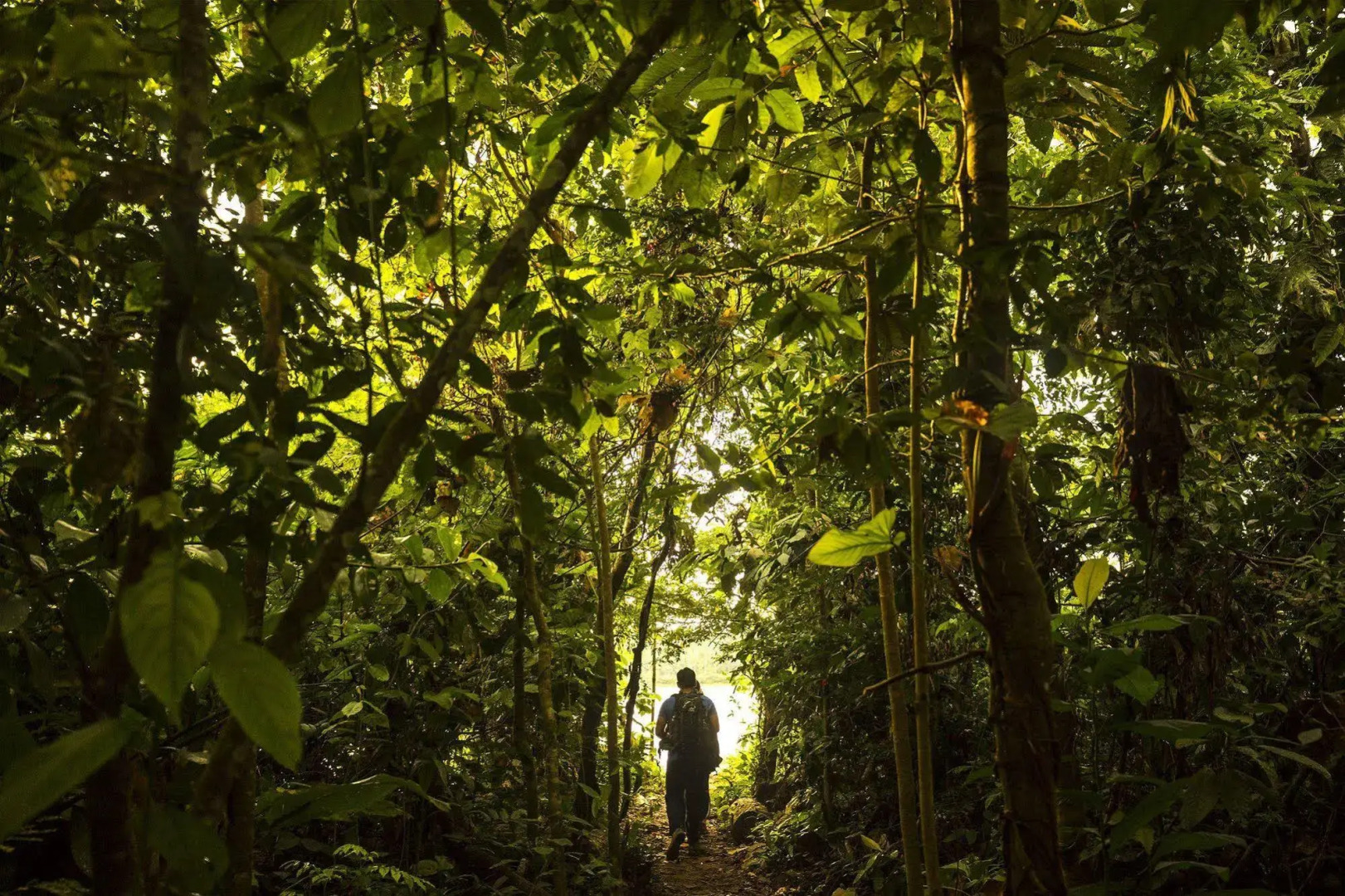 Tambopata Research Center
