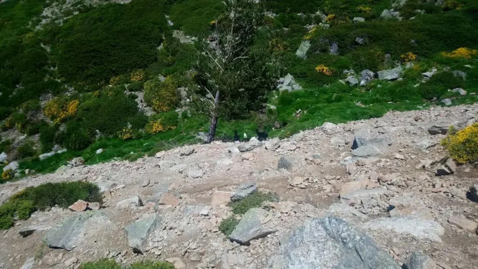 Apartamento navacerrada