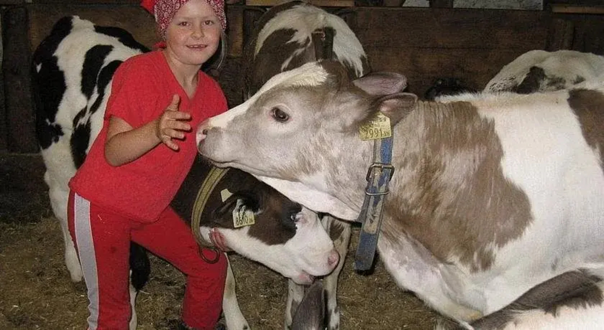 Bauernhof Obergrafer