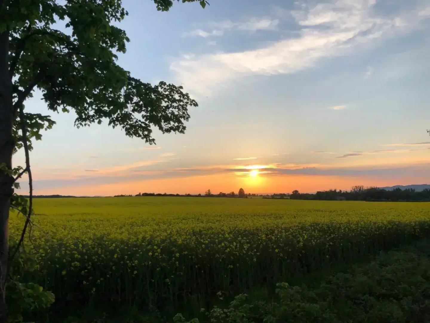 Pension | vonBartsch