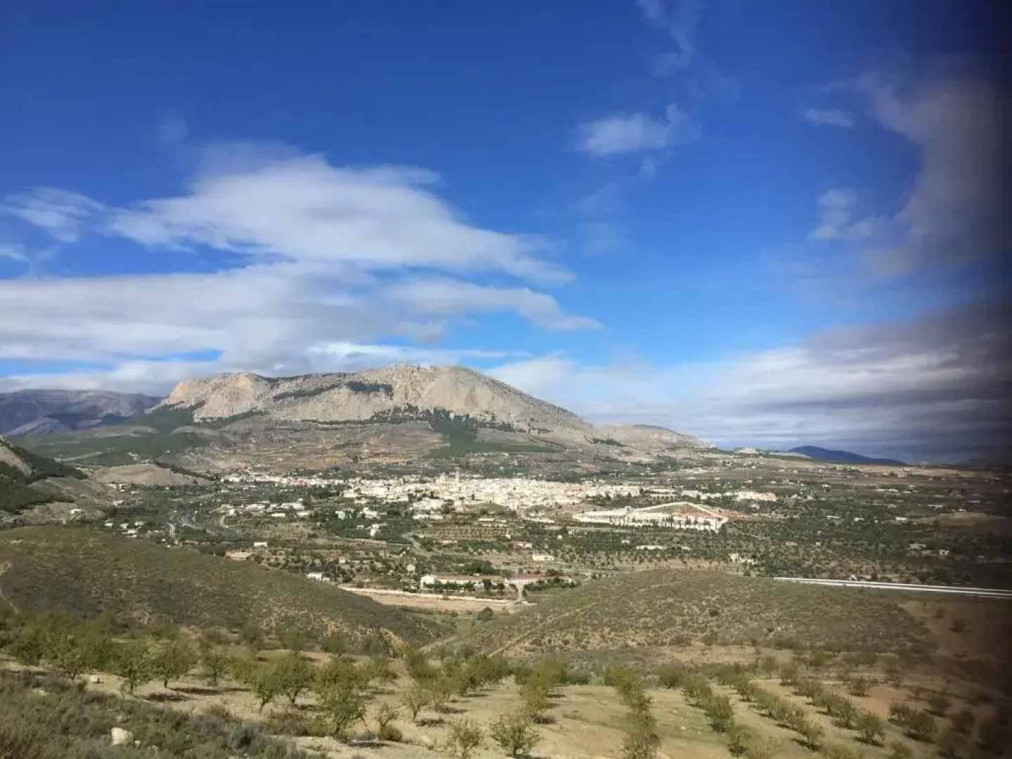 Las Persianas Azules