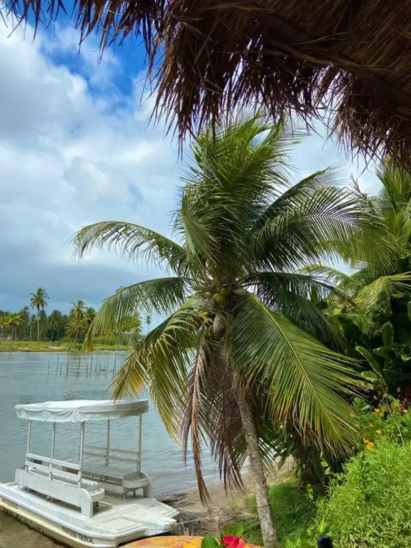 Pousada Paradiso Tropica
