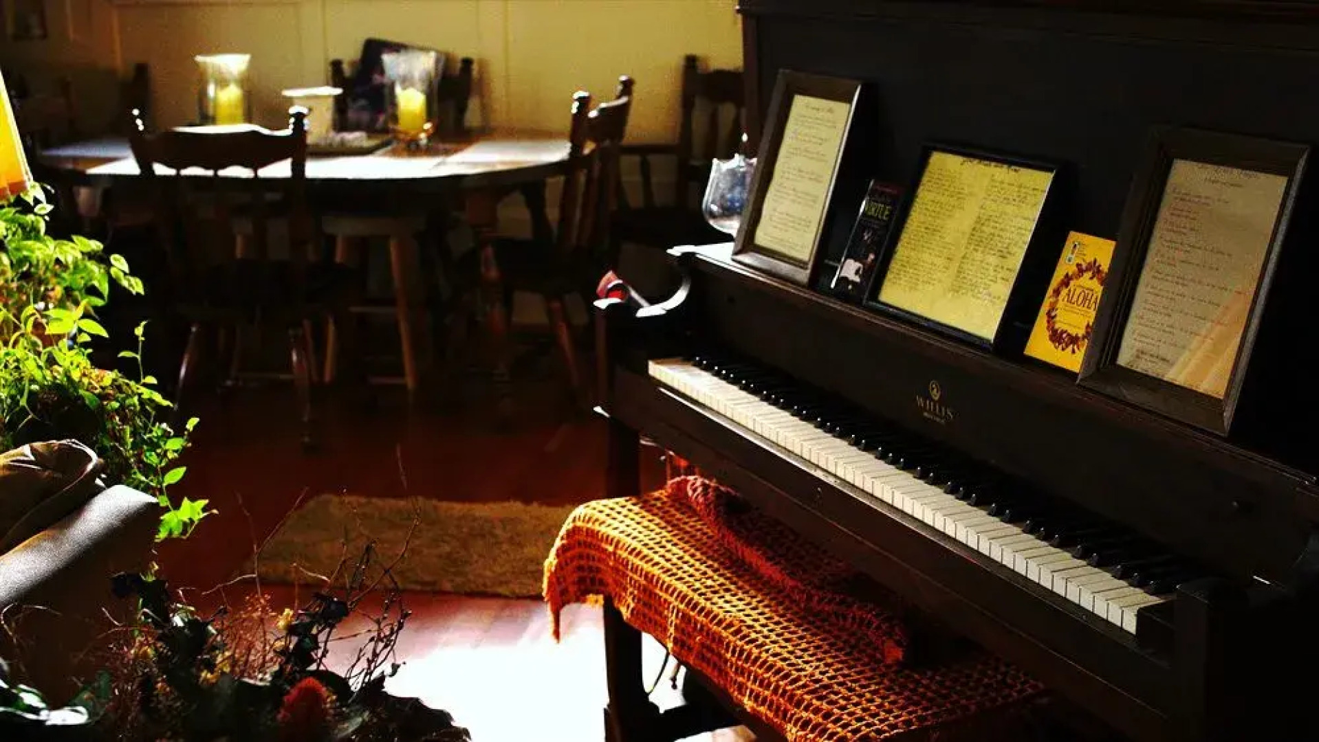 Denniston by The Sea