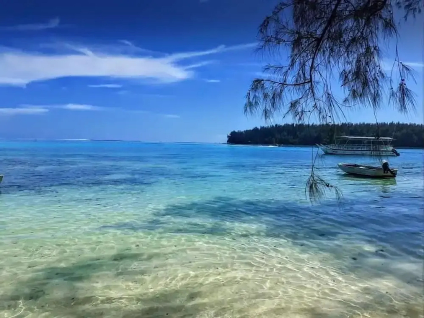 Fare Club - Moorea