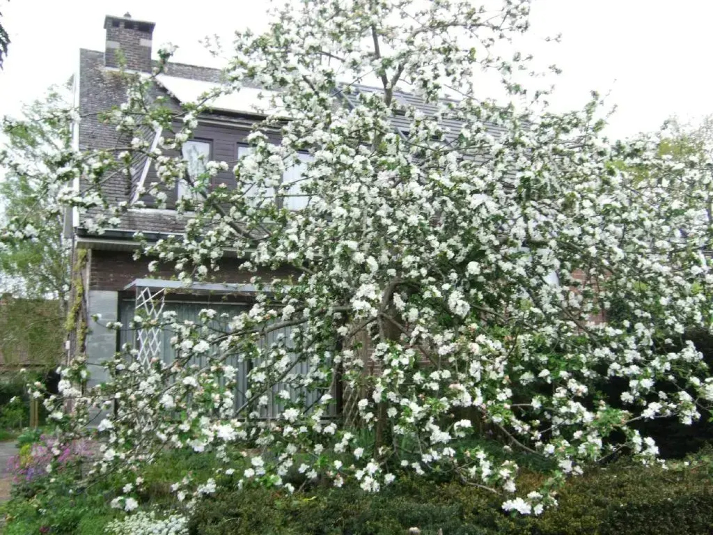 Guestrooms Bij Het Station Van Drongen