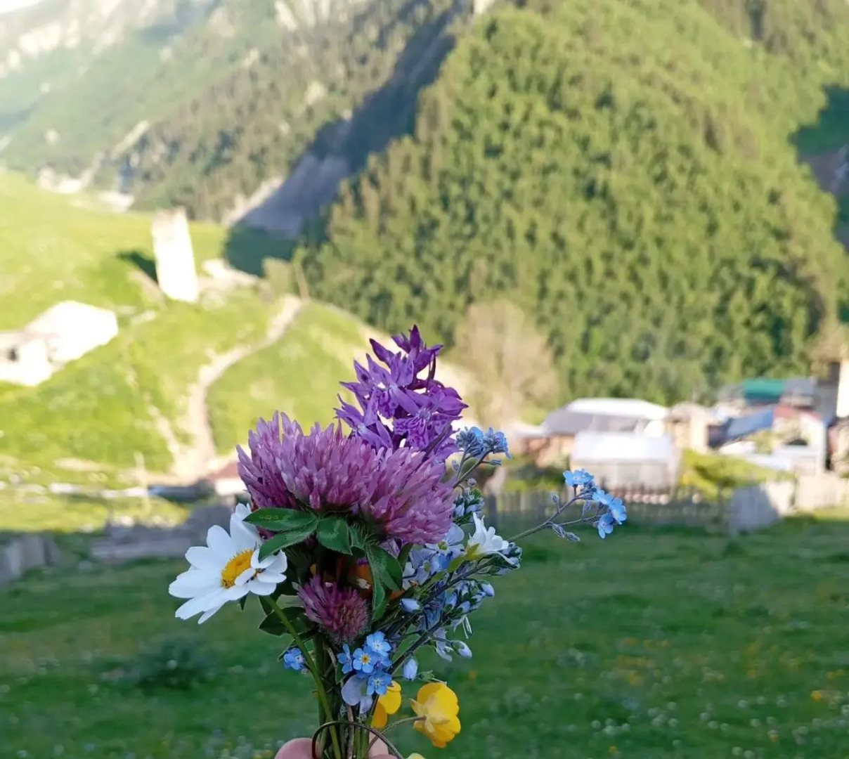 Elizabeth's Guest House