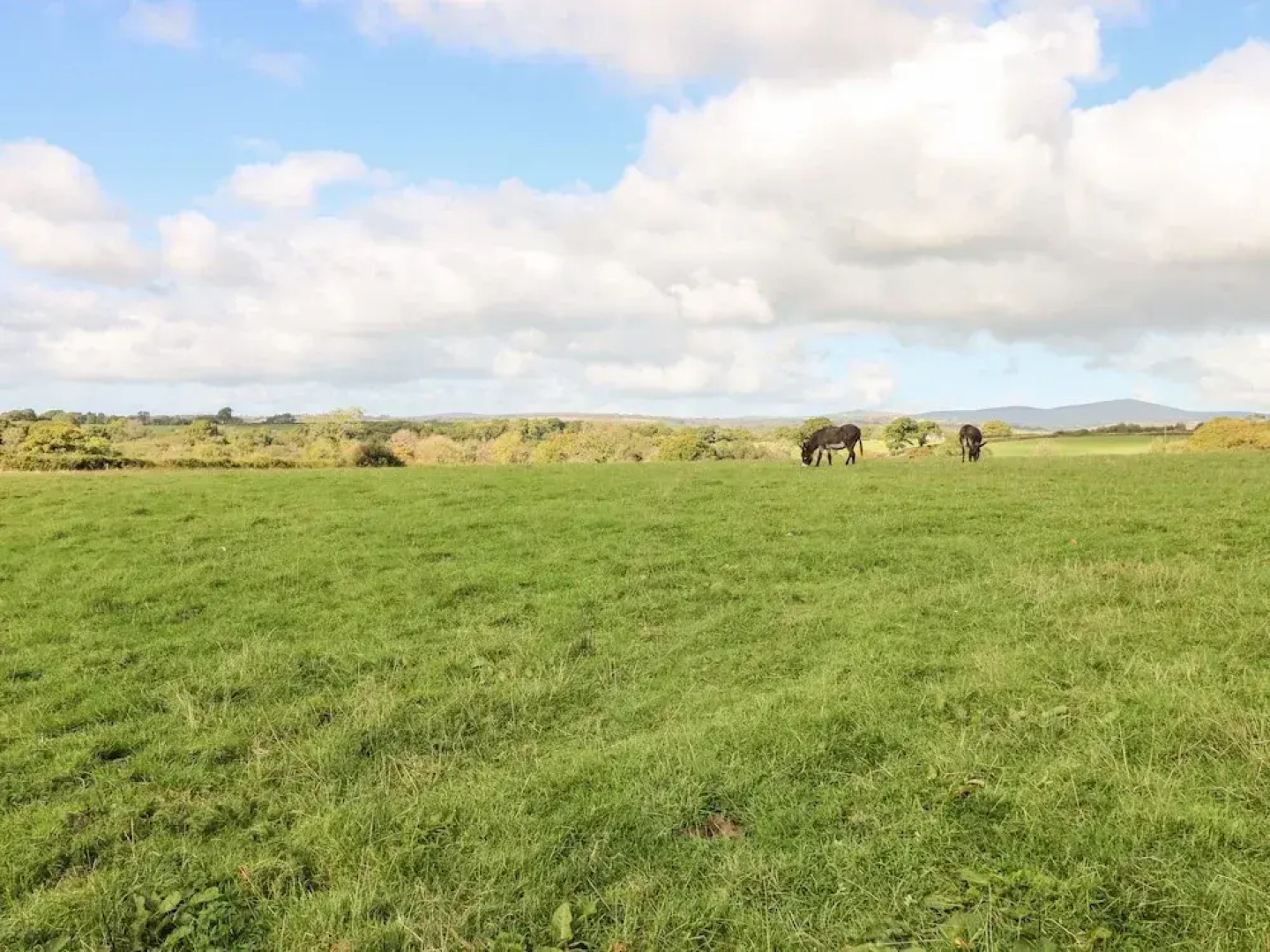 Saddlers Cottage, Berllandeg Farm