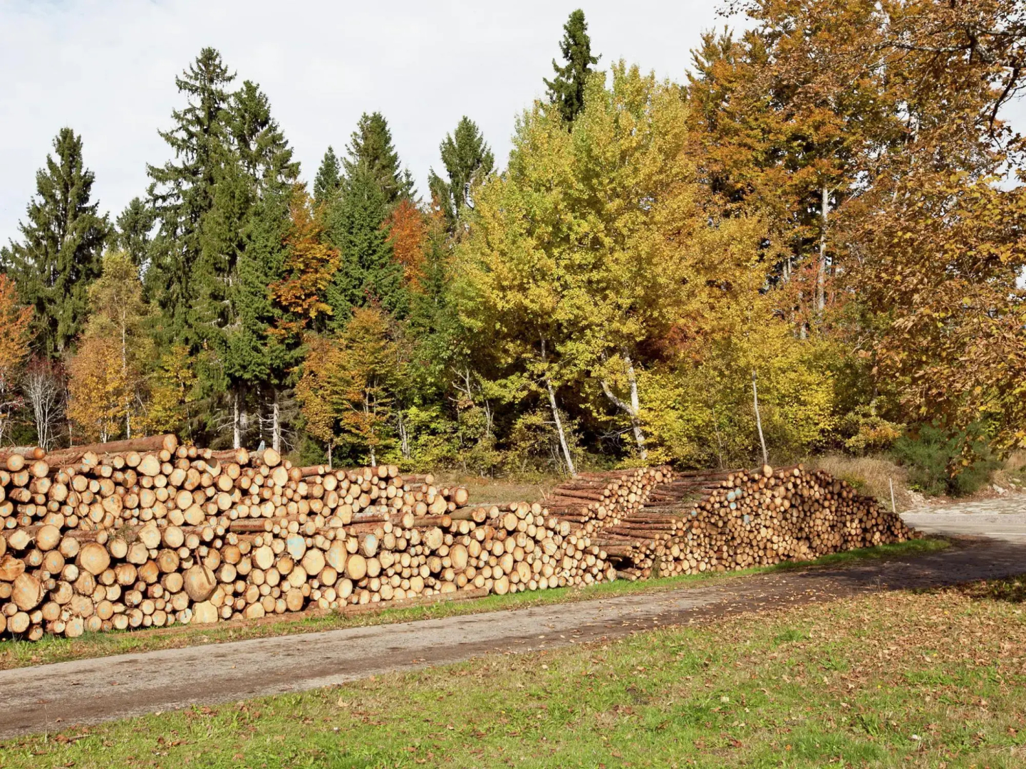 Malerische Erdgeschosswohnung