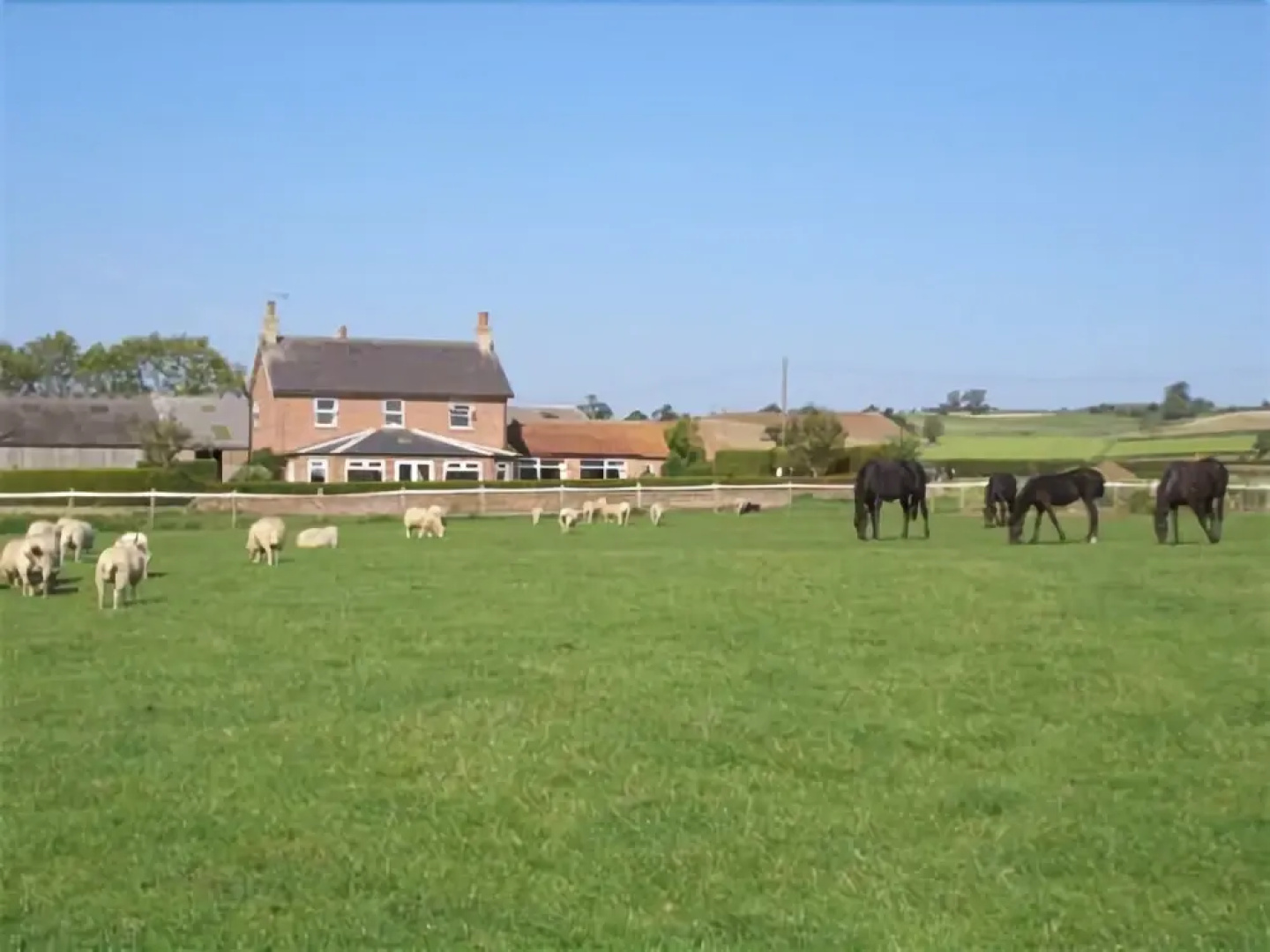 Thornton Lodge Farm