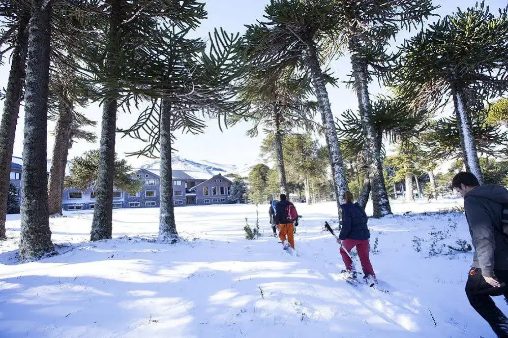 Valle Corralco Hotel & Spa