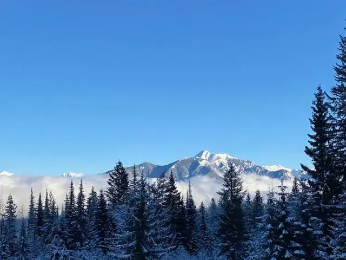 Lush Mountain Accommodations