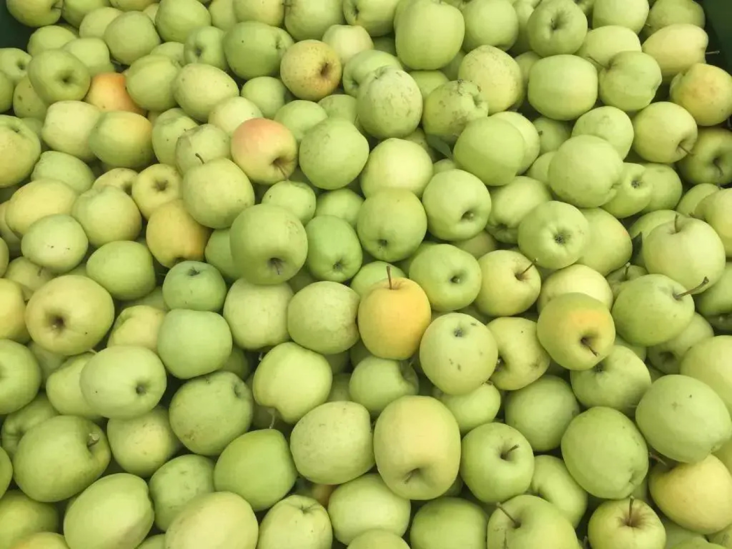 Tannerhof Bed & Breakfast