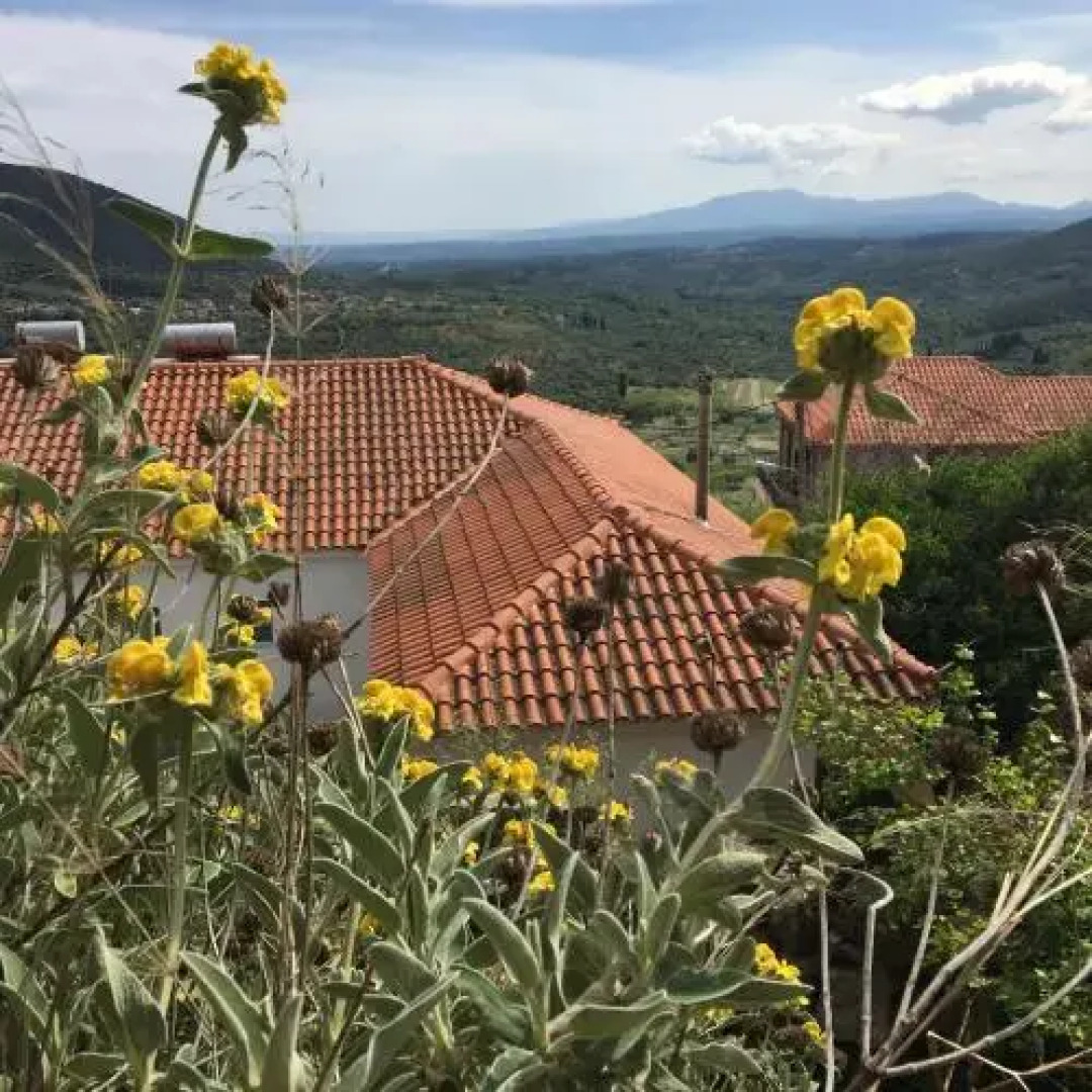 Guest House Lykourgos