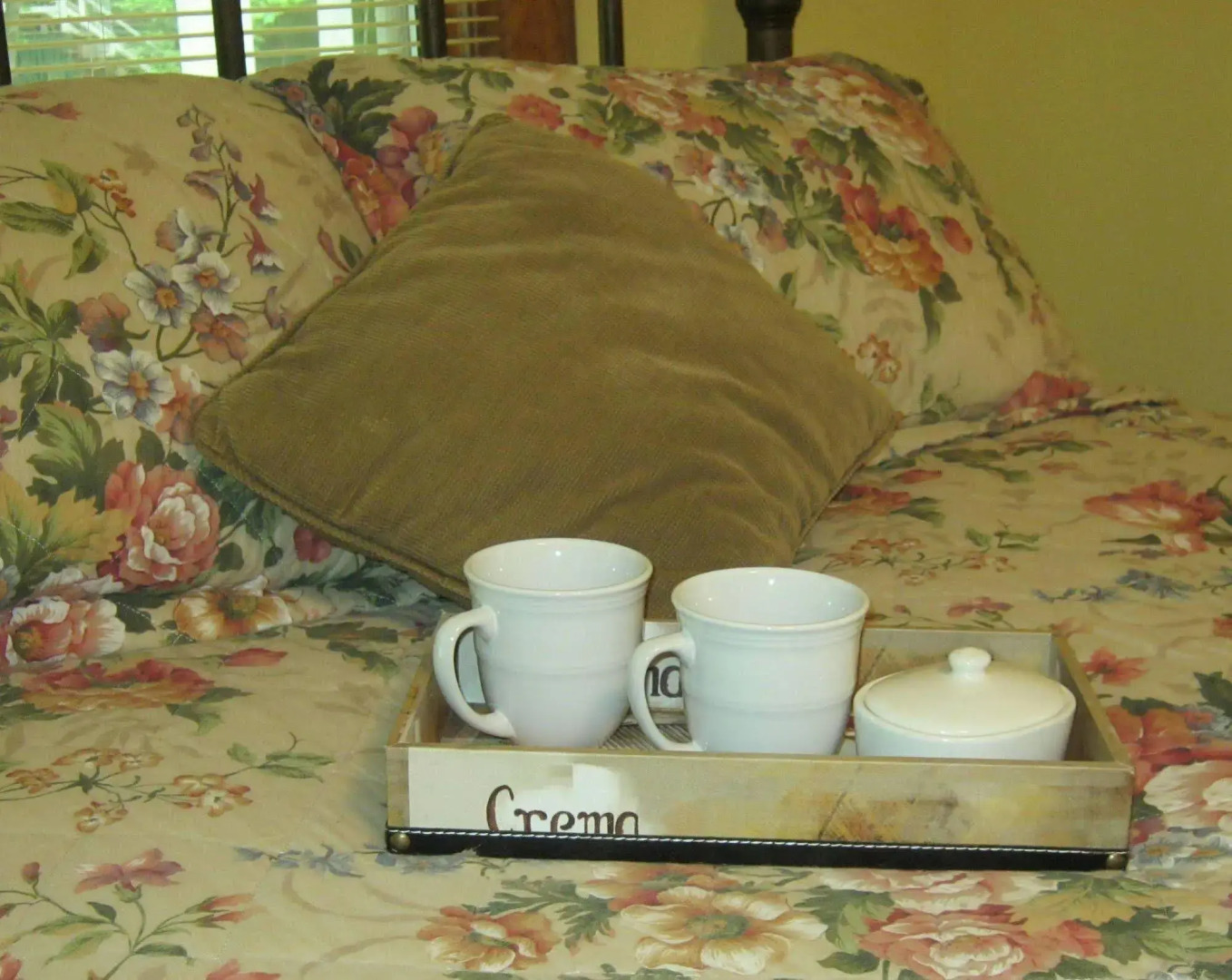 The Cabins at Healing Springs