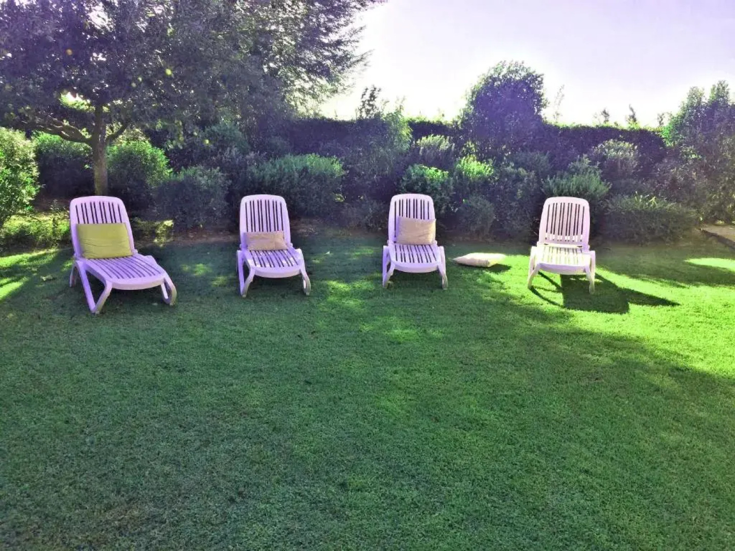 Under The Tuscan Sun