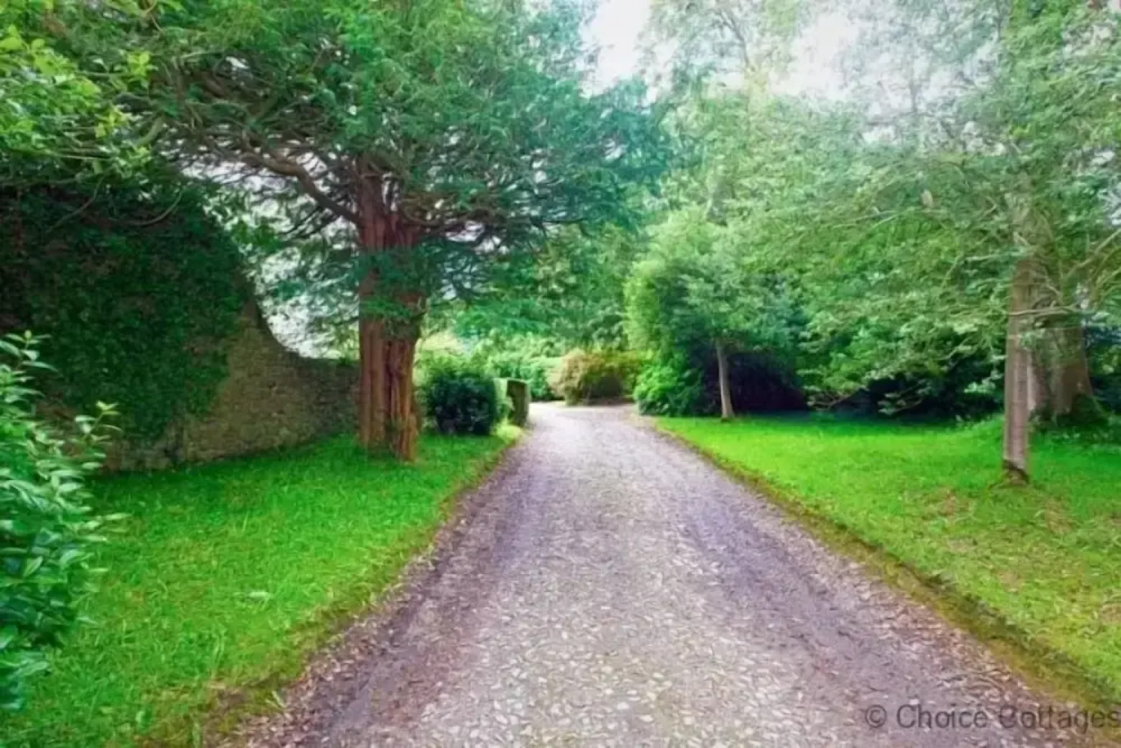 Westward Ho!me 5 Bedrooms