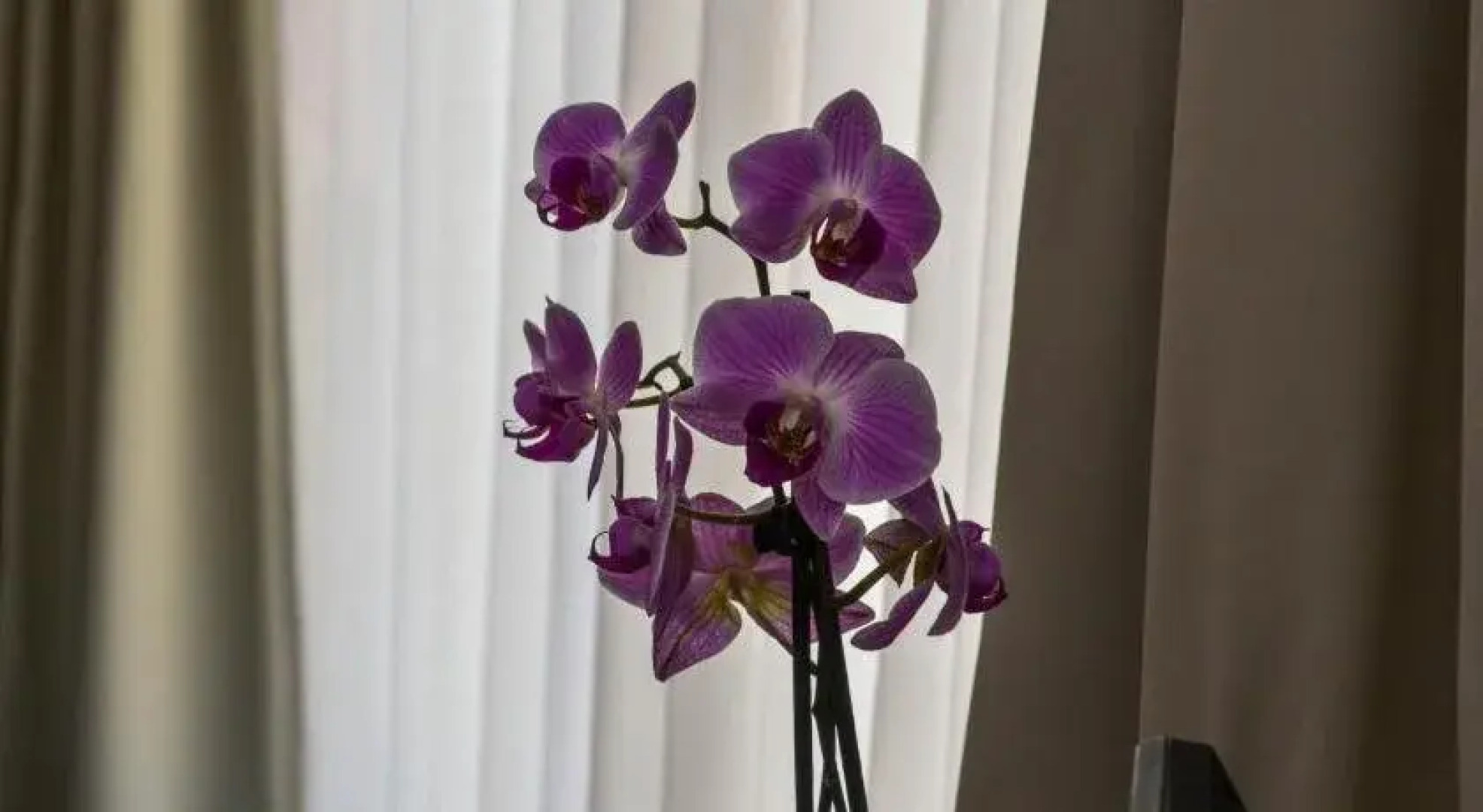 Thermal Park Egerszalók Aparthotel