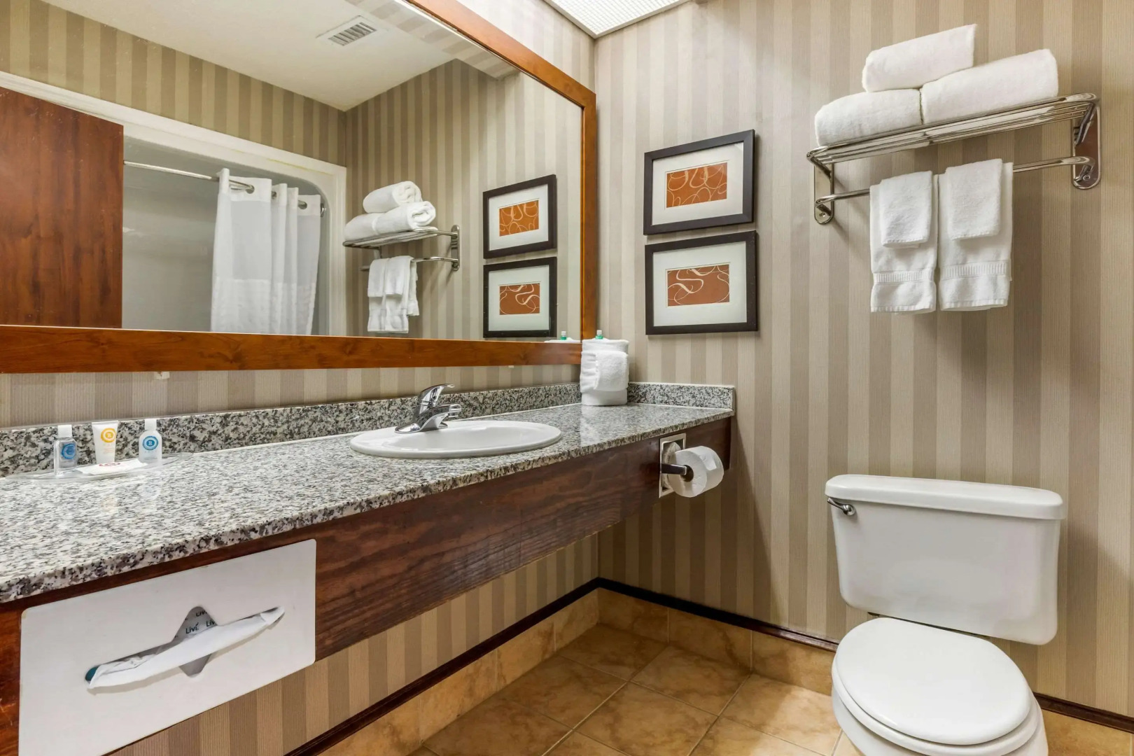 Comfort Inn Summerville - Charleston