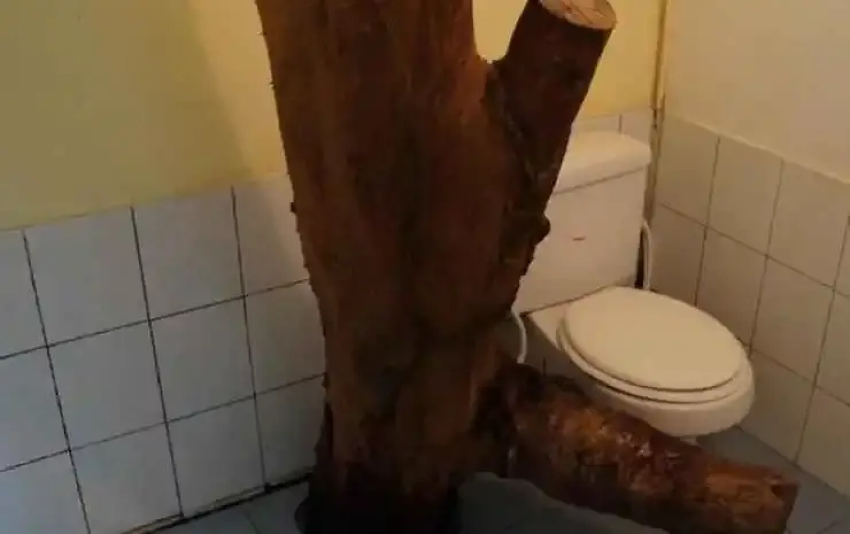 Field Paradise 1 Hotel