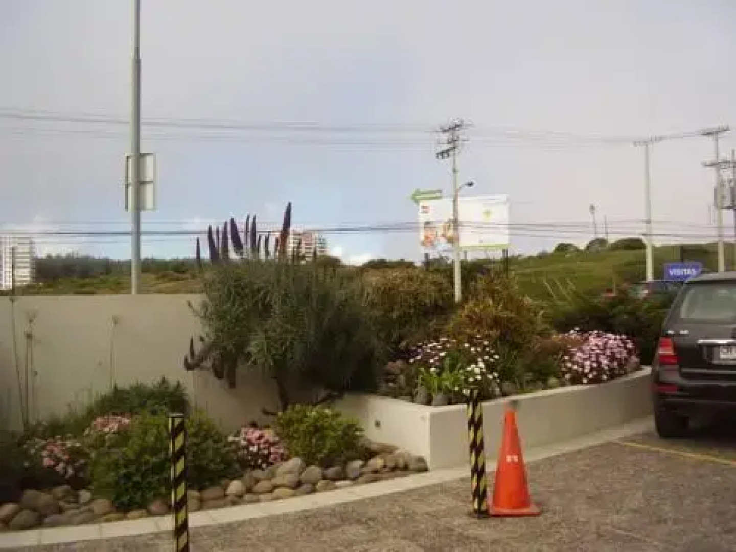 Squadrito Demuth - Reñaca