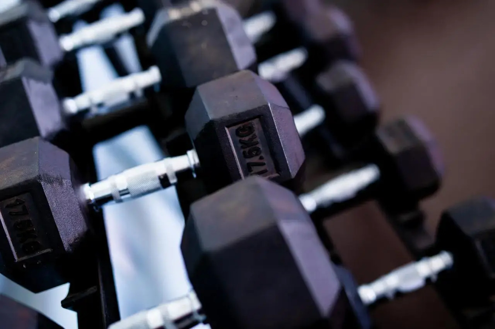 Masailand Safari & Lodge