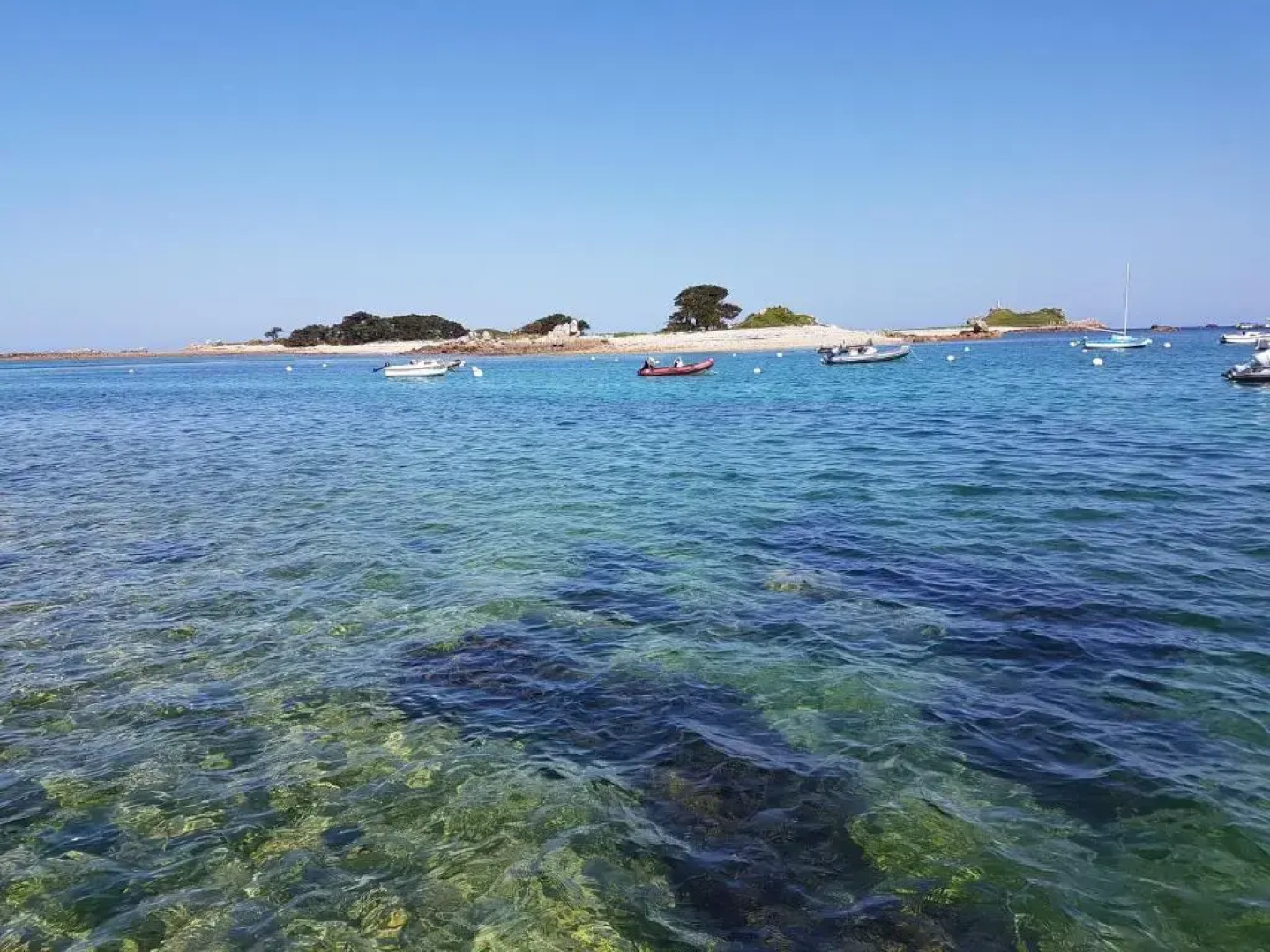 Résidence CoatArmor