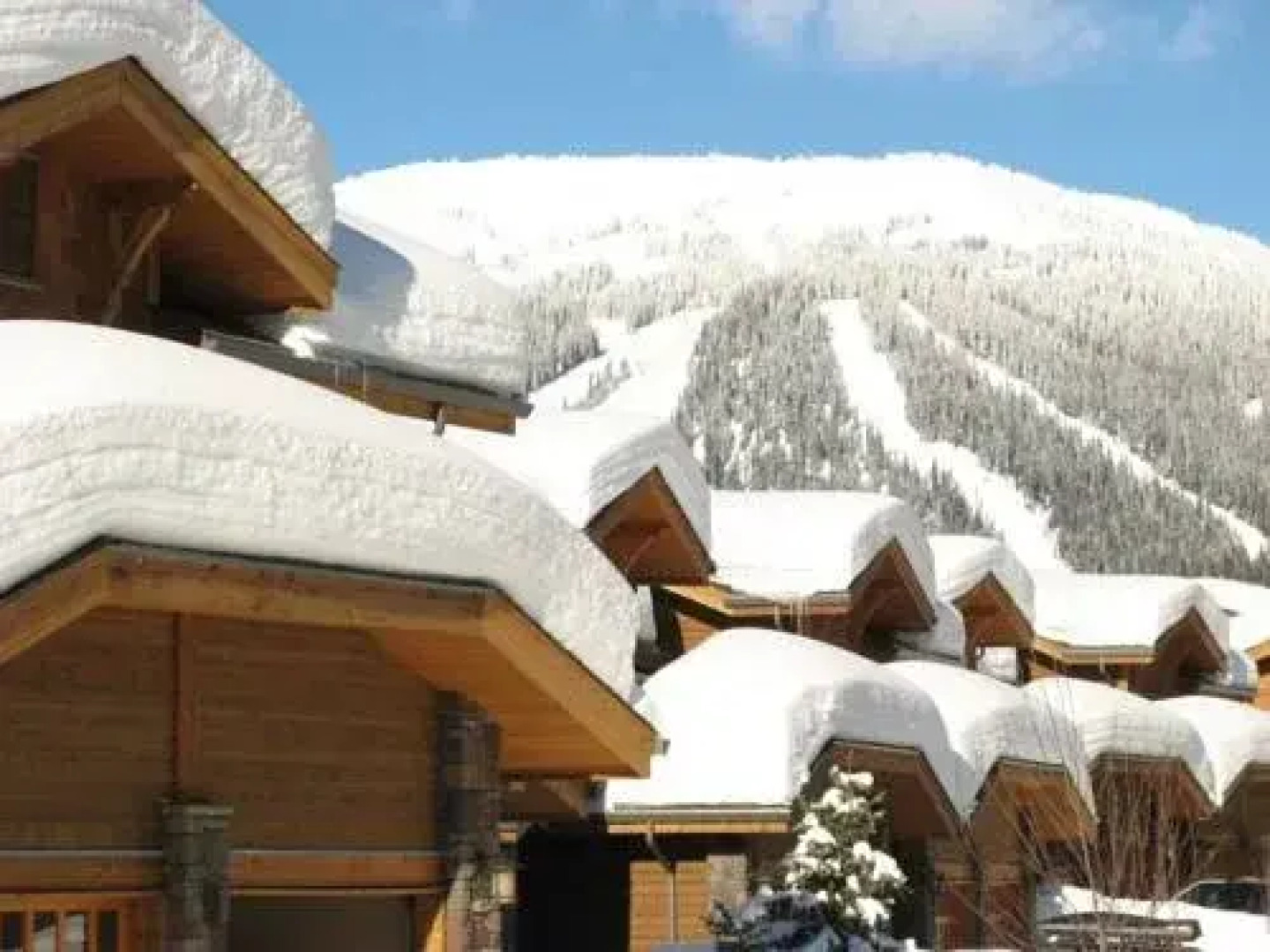 Woodhaven by Bear Country