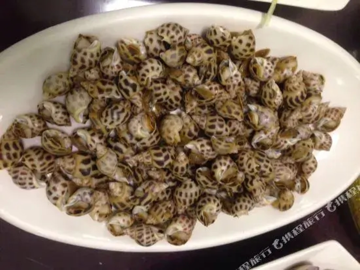 21 Haili Whale Island Hotel