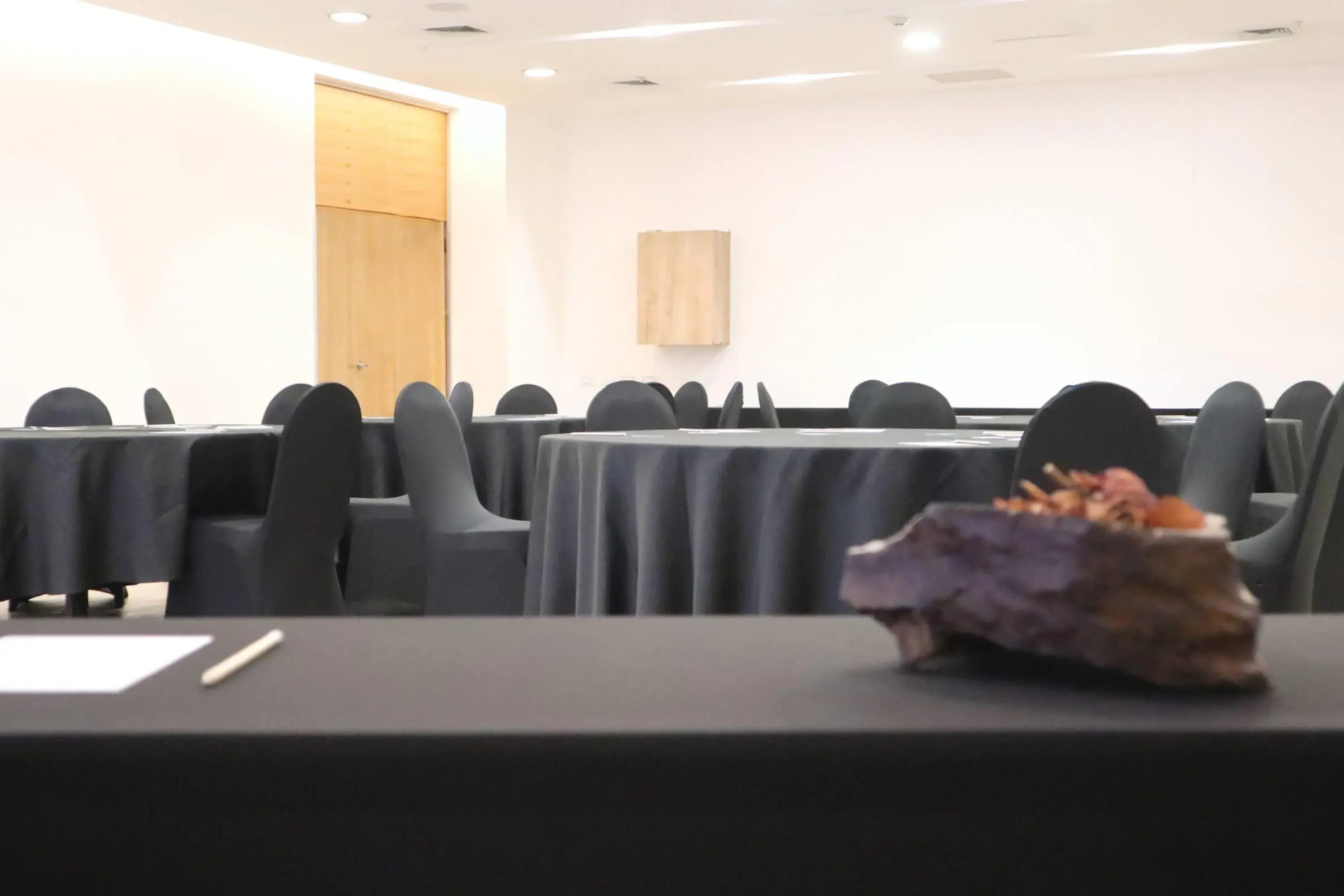 Wyndham Concepcion Pettra