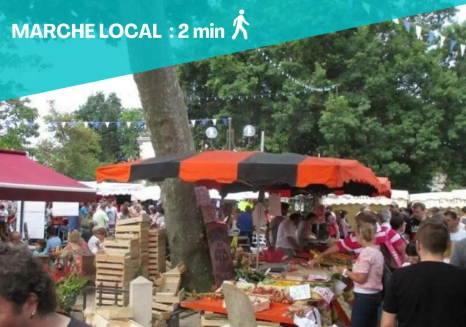 Le Cocon Landais - 3 chambres - WIFI - SOUSTONS