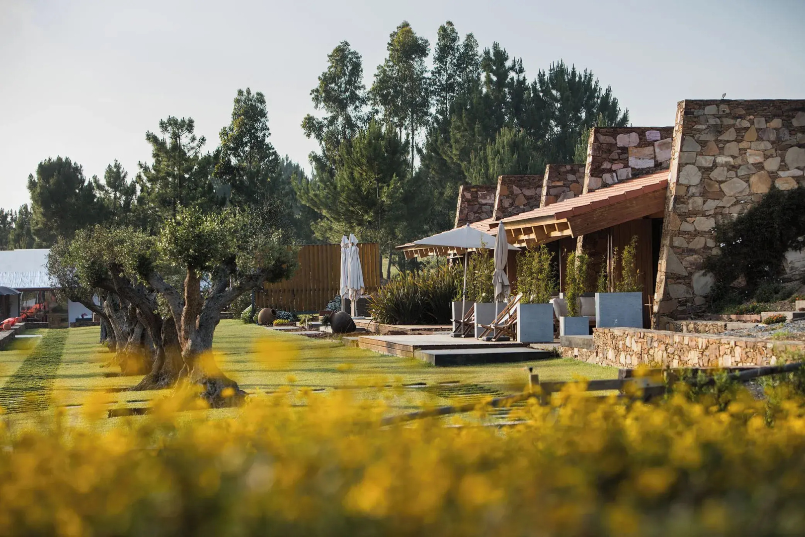 TEIMA Alentejo SW