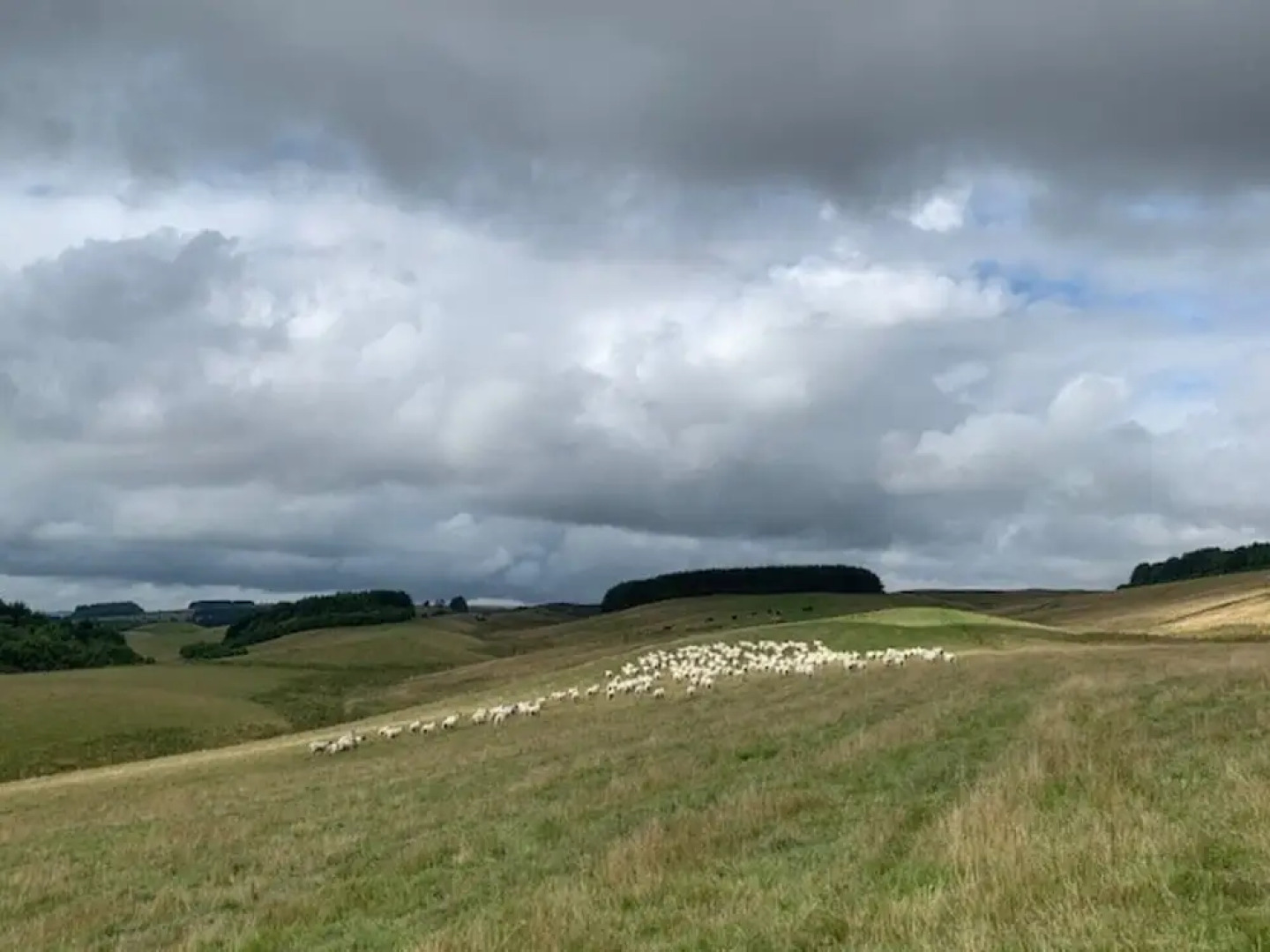 Traditional Bothy Accommodation