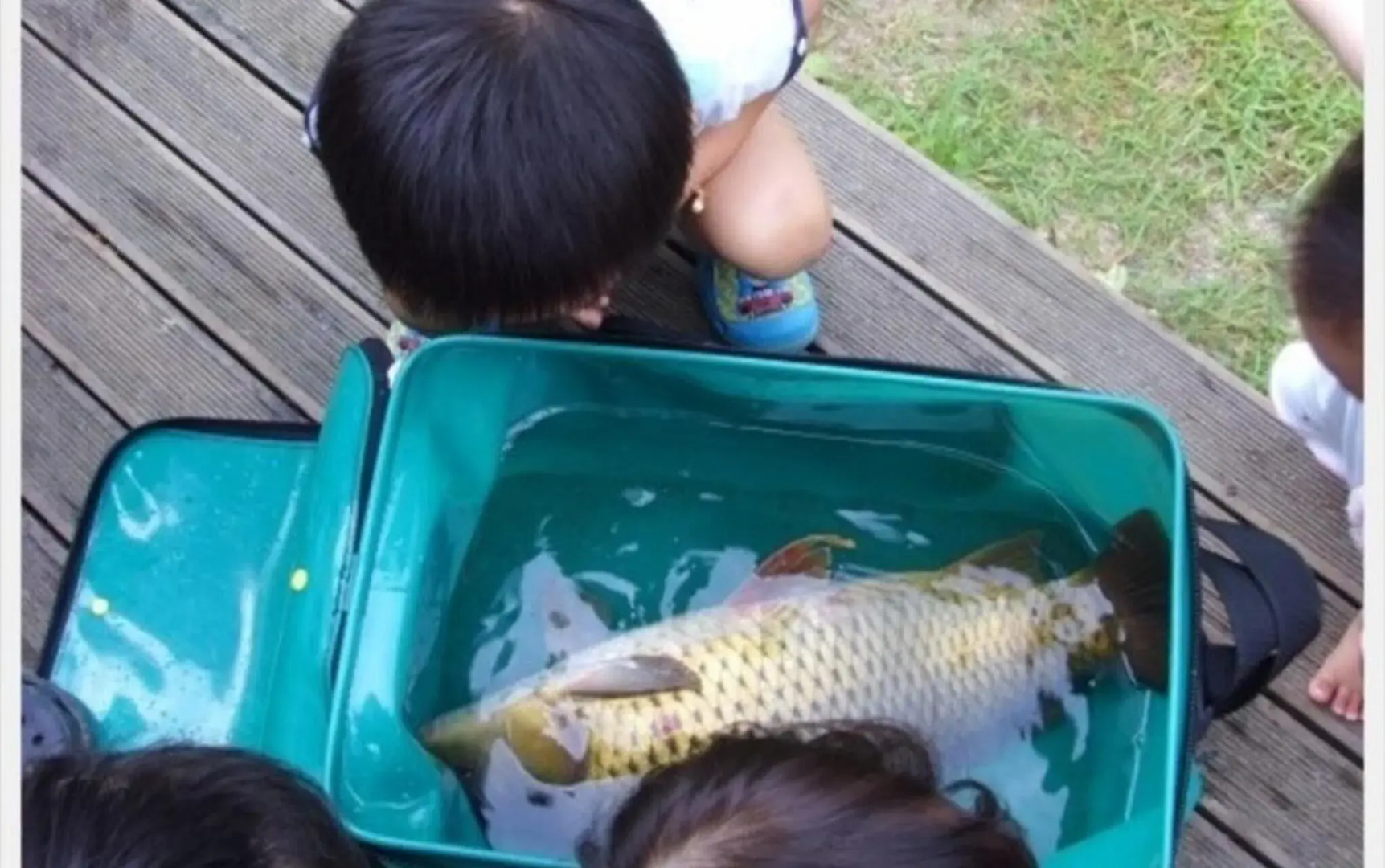 Yangpyeong Hayandohwaji Pension