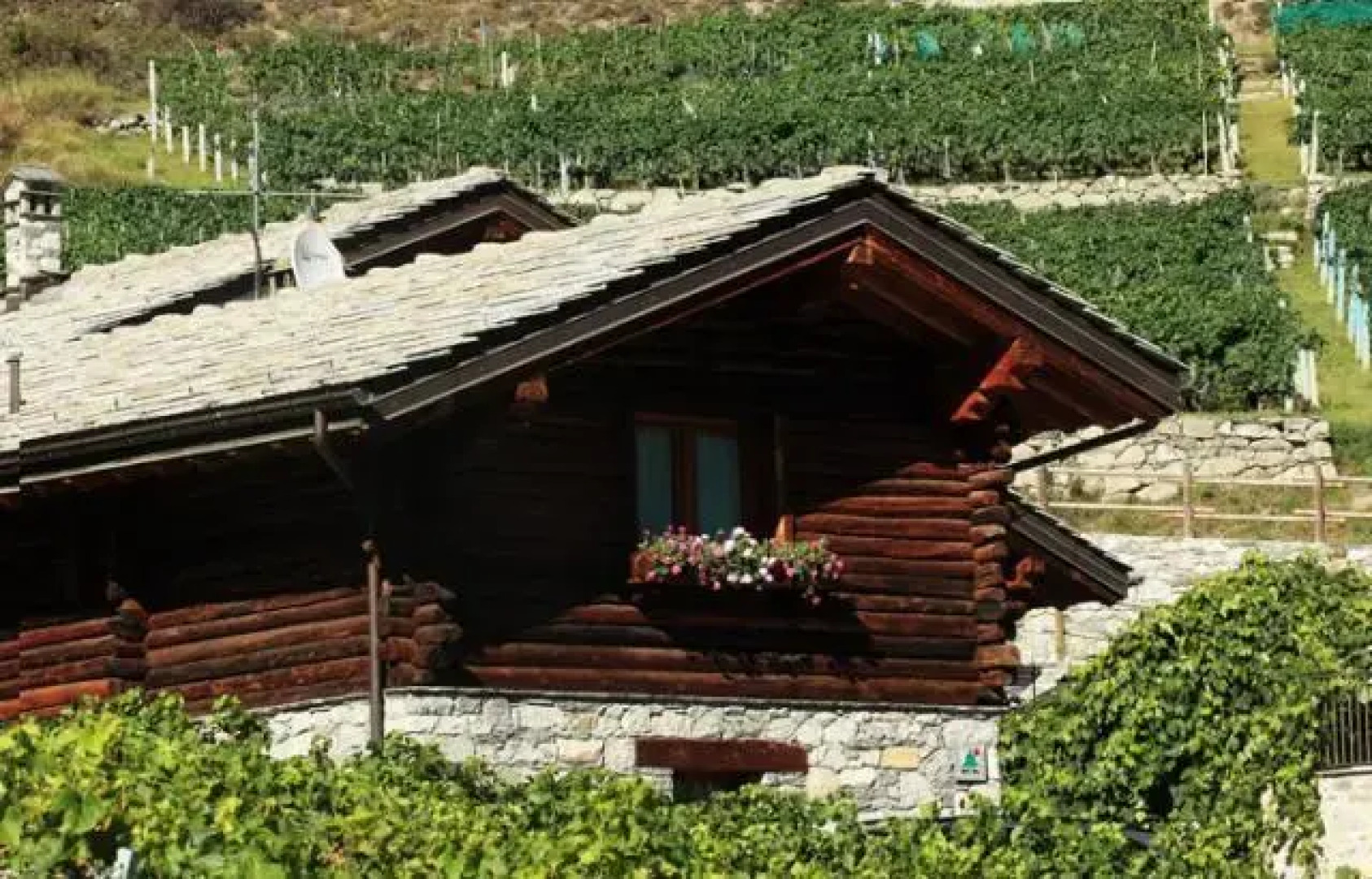 Agriturismo La Vrille