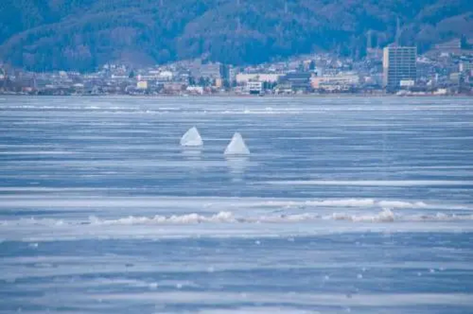 Petit Hotel of Log House Tombouctou