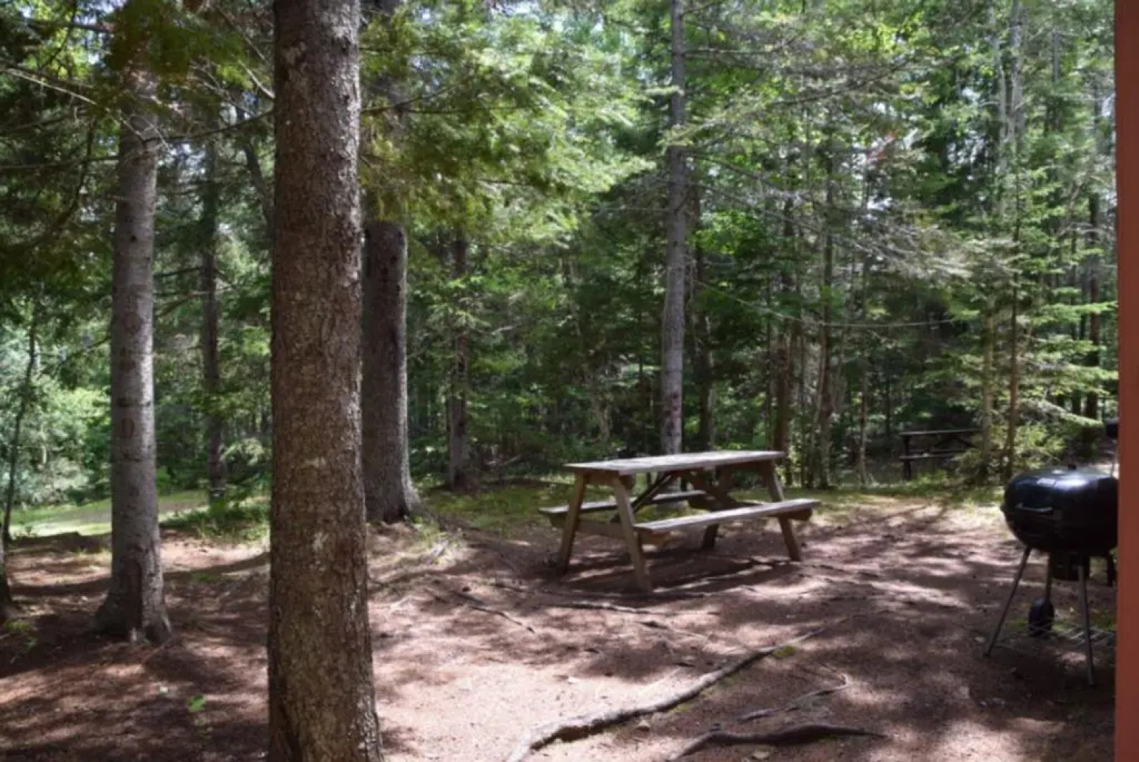 Forest & Stream Cottages